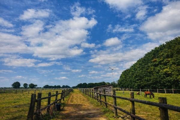 Propriété equestre Nozay