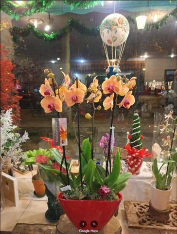 75013 PARIS : RARE !! FLEURISTE - 72 M² AVEC LOGEMENT DE FONCTION 43 M²  - SITUÉ SUR UN BOULEVARD