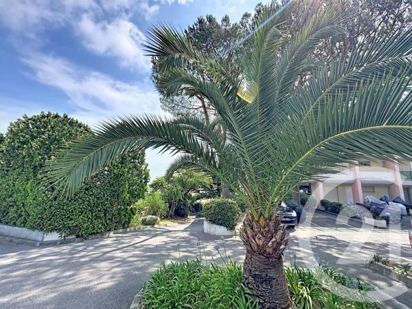 Appartement F2 à vendre  2 pièces - 34 m 2   ANTIBES  - 06