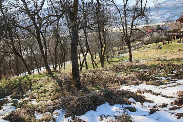 EN EXCLUSIVITÉ.   PASSY  COTEAU ,Terrain  constructible  2028 m2 EXPOSITION SUD 560 000 euros