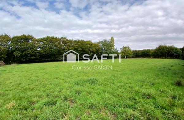 Maison familiale  et deux gîtes