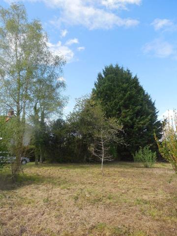 Maison de bourg avec fort potentiel