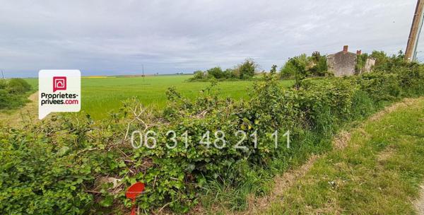 À VENDRE  TERRAIN CONSTRUCTIBLE EN CAMPAGNE MONTREUIL (85200)