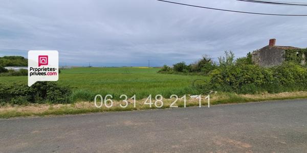 À VENDRE  TERRAIN CONSTRUCTIBLE EN CAMPAGNE MONTREUIL (85200)