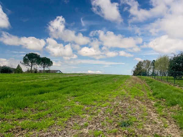 Terrain contructible avec plusieurs lots - Saint-Aubin - 11 886 m2