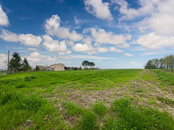 Terrain contructible avec plusieurs lots - Saint-Aubin - 11 886 m2