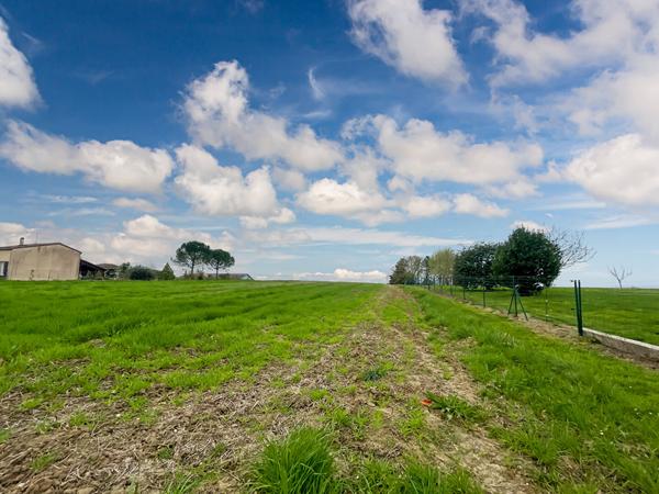 Terrain contructible avec plusieurs lots - Saint-Aubin - 11 886 m2