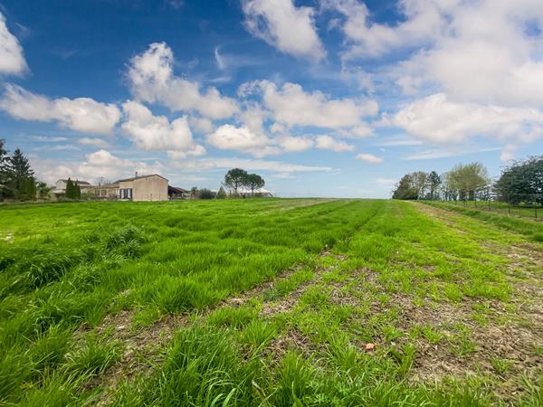 Terrain contructible avec plusieurs lots - Saint-Aubin - 11 886 m2
