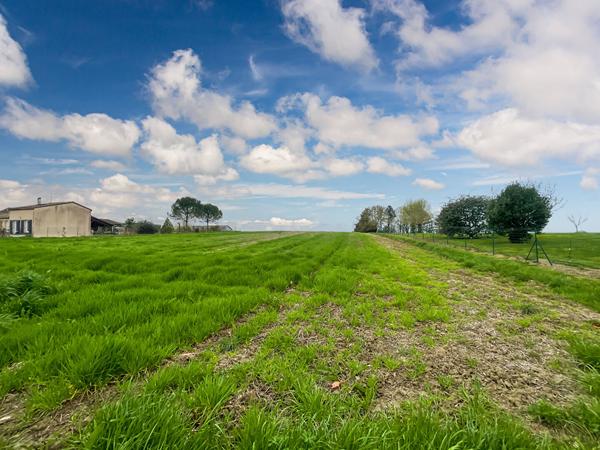 Terrain contructible avec plusieurs lots - Saint-Aubin - 11 886 m2