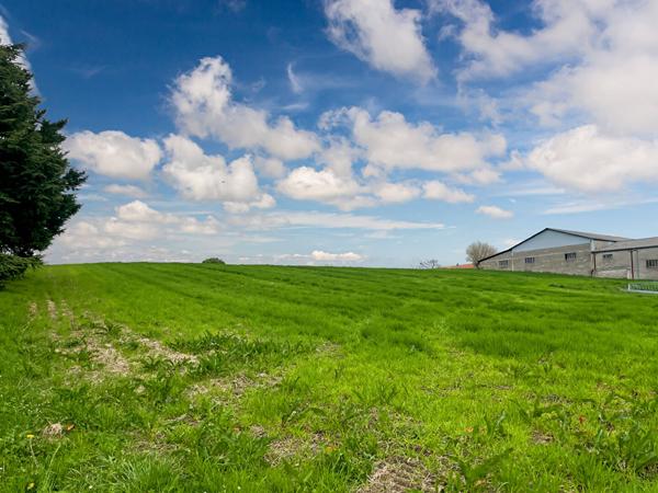 Terrain contructible avec plusieurs lots - Saint-Aubin - 11 886 m2