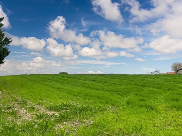 Terrain contructible avec plusieurs lots - Saint-Aubin - 11 886 m2