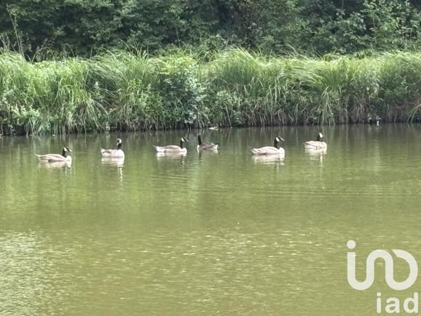 Maison à vendre 5 pièces 242 m² Dormelles