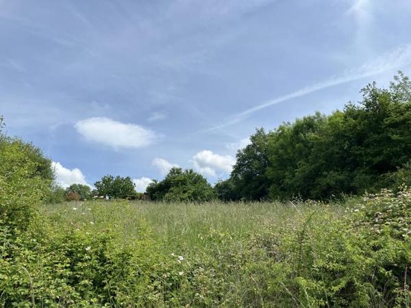 Terrain à vendre 25 000 € Vignols 4800 m² DPE