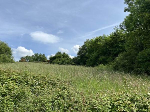 Terrain à vendre 25 000 € Vignols 4800 m² DPE