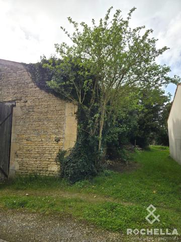 Le Chai des Templiers