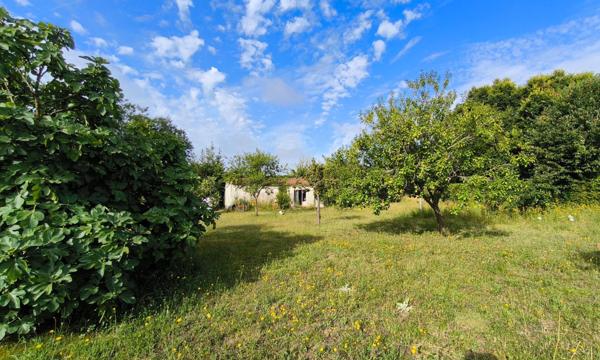 Très beau terrain de 1490m² constructibles sur St Jean d'Angely