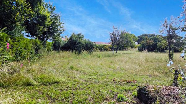 Très beau terrain de 1490m² constructibles sur St Jean d'Angely