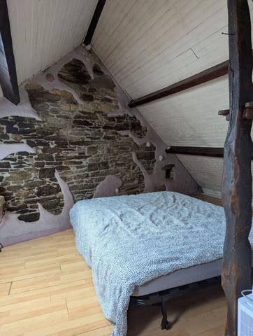 Morlaix proche centre-ville : charmante maison avec jardinet 