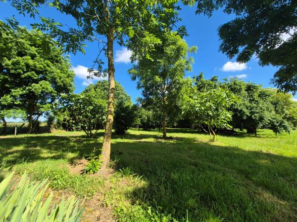 Ensemble immobilier avec 3 maisons sur 5 110 m² – Moragne 17430