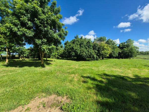 Ensemble immobilier avec 3 maisons sur 5 110 m² – Moragne 17430