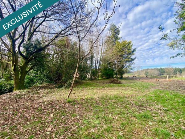 Bâtisse en pierre à rénover avec hangar sur terrain de 2 210 m².