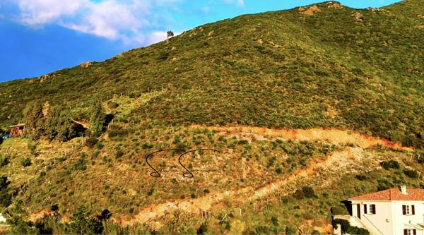 Olmeta-di-Tuda (20232) Magnifique Terrain de 2600 m2 constructible à Olmeta-di-Tuda