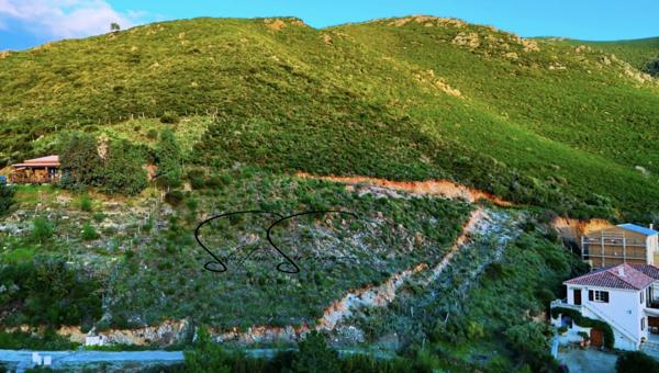 Olmeta-di-Tuda (20232) Magnifique Terrain de 2600 m2 constructible à Olmeta-di-Tuda