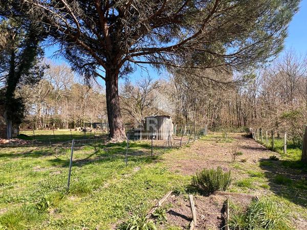 Maison récente Le Barp grand terrain vue Foret