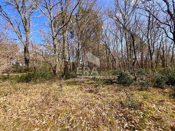 Maison récente Le Barp grand terrain vue Foret