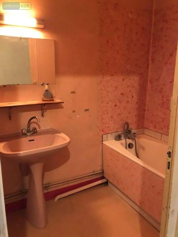 Achat - Immeuble | Local mixte (Pro/Hab) Issoudun 36100 120 m 2 46 m 2