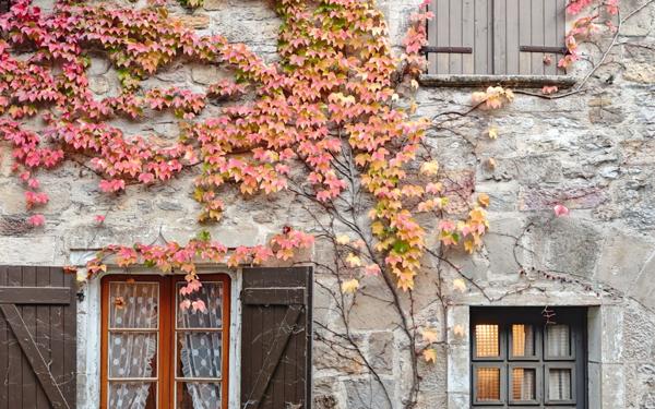 Maison à vendre    3 pièces •  Bruniquel