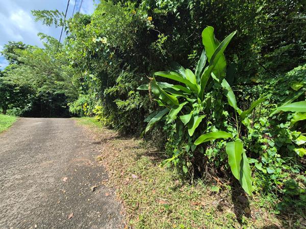 Achat terrain Le Lamentin - 1030 m² - 125 000 €