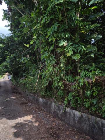 Achat terrain Le Lamentin - 1030 m² - 125 000 €