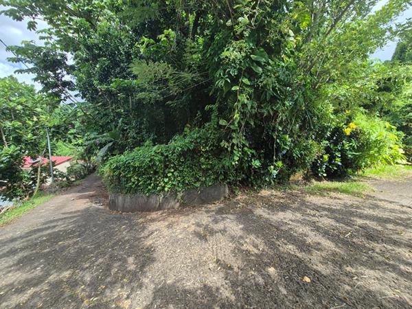 Achat terrain Le Lamentin - 1030 m² - 125 000 €