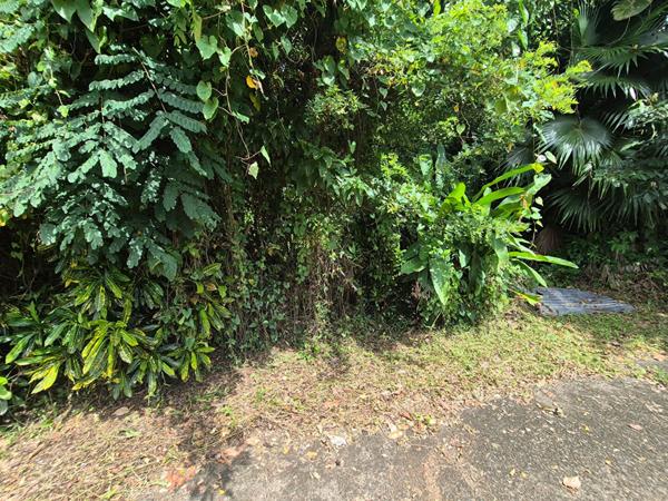 Achat terrain Le Lamentin - 1030 m² - 125 000 €