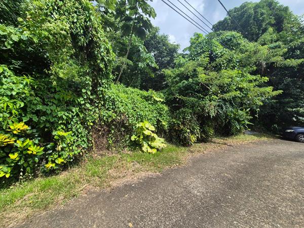 Achat terrain Le Lamentin - 1030 m² - 125 000 €