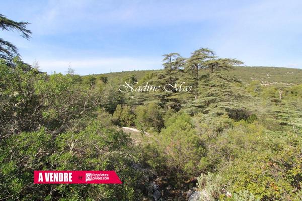 Terrain Plan D Aups Sainte Baume 1650 m2