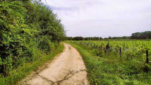 2 Terrains à bâtir avec vue sur la campagne