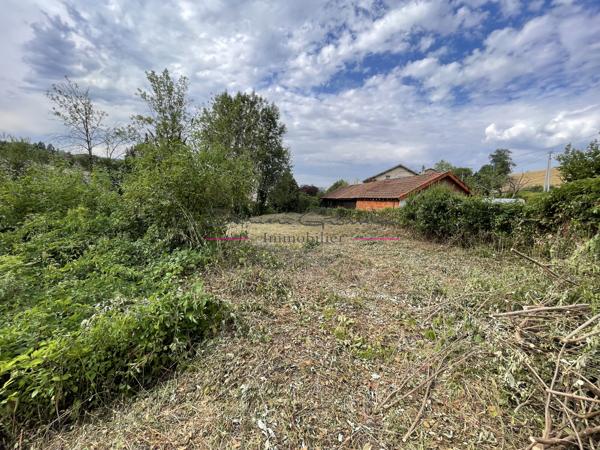 Terrain constructible