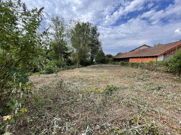 Terrain constructible