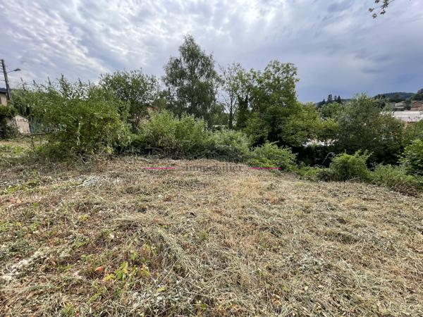 Terrain constructible