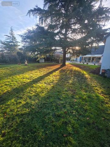 Achat - Maison | Maison de ville Les Ponts-de-Cé 49130 7 pièces 145 m 2 1035 m 2