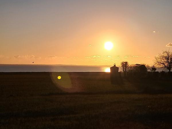 Face à la mer ? Une opportunité rare à Port-des-Barques Port des barques Face à la mer ? Une opportunité rare à Port-des-Barques Port des barques