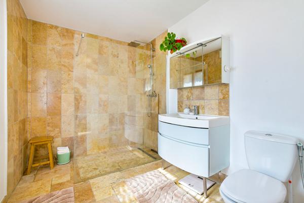 Maison Briarde à vendre