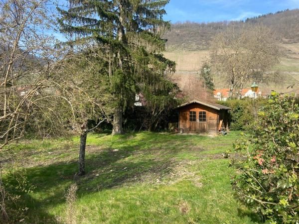 Maison à vendre    8 pièces •  Thann