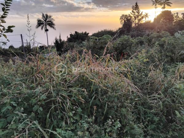 Un cadre de vie privilégié avec vue mer

Découvrez ce terrain légèrement en pente, entièrement vierge, d’une superficie d’environ 411m², idéalement situé dans un environnement calme, résidentiel et verdoyant. Ce cadre paisible est parfait pour réaliser un projet de construction sur mesure, que ce soit pour une résidence principale ou un investissement patrimonial.

Ce terrain se trouve en zone Uc et offre de belles perspectives de construction, respectant les règles d’urbanisme en vigueur :

Hauteur maximale des constructions : 5,50 mètres à l’égout du toit ou au sommet de l’acrotère, et 8,50 mètres au faîtage.
Emprise au sol autorisée : 60%.

Caractéristiques techniques :
Terrain viabilisé
Assainissement collectif à proximité
Terrain à clôturer selon vos préférences

Localisation stratégique :
Situé dans un secteur naturel préservé sur la commune de Trois Bassins, ce terrain bénéficie d’un emplacement idéal très recherché :

Proche des commodités : écoles, pharmacies, transports, commerces et supermarchés
Accès rapide à la route des Tamarins en seulement 15 minutes

Les points forts :
Terrain offrant une vue dégagée sur la mer
Environnement calme et résidentiel
Bon potentiel de construction
Secteur prisé

Une opportunité exceptionnelle à saisir pour concrétiser votre projet immobilier dans un cadre de vie privilégié. Ne manquez pas cette chance unique ! Pour plus d’informations ou pour organiser une visite, n’hésitez pas à nous contacter.