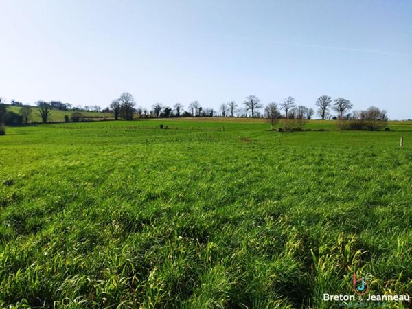 Longère en pierres proche Mayenne
