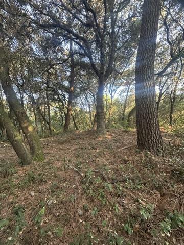 TERRAIN  constructible  1600 m² bord de mer