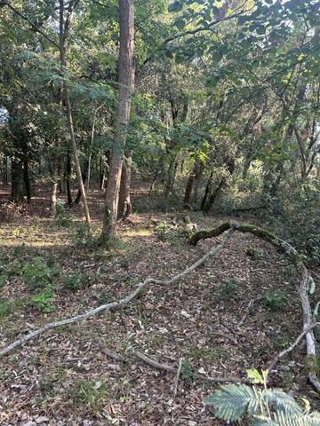 TERRAIN  constructible  1600 m² bord de mer