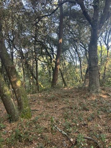 TERRAIN  constructible  1600 m² bord de mer